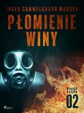 Płomienie winy: część 2 (eBook, ePUB)