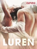 Luren (eBook, ePUB)