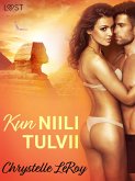 Kun Niili tulvii - eroottinen novelli (eBook, ePUB)