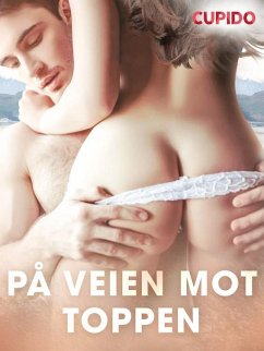 Cover På veien mot toppen (eBook, ePUB)