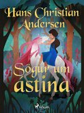 Sögur um ástina (eBook, ePUB)