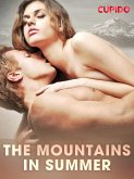 The Mountains in Summer (eBook, ePUB)