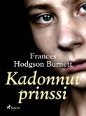 Kadonnut prinssi (eBook, ePUB)