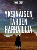 Yksinäisen tähden harhailija (eBook, ePUB)