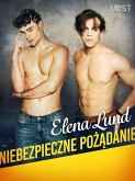 Niebezpieczne pożądanie - opowiadanie erotyczne (eBook, ePUB)