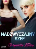 Nadzwyczajny szef - opowiadanie erotyczne (eBook, ePUB)