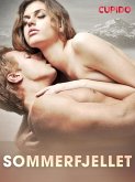 Sommerfjellet (eBook, ePUB)