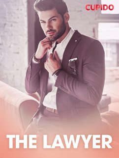 Cover The Lawyer (eBook, ePUB)