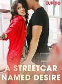 A Streetcar Named Desire (eBook, ePUB) A Streetcar Named Desire (eBook, ePUB)