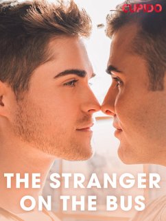 The Stranger on the Bus (eBook, ePUB) - Cupido