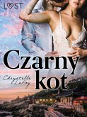 Czarny kot - opowiadanie erotyczne (eBook, ePUB)