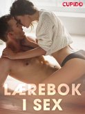 Lærebok i sex (eBook, ePUB)