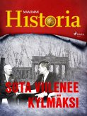 Sota viilenee kylmäksi (eBook, ePUB)