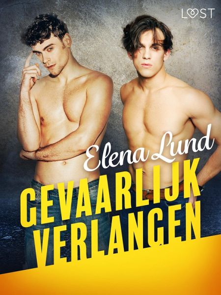 Gevaarlijk verlangen - erotisch verhaal (eBook, ePUB)
