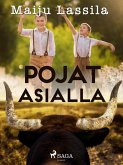 Pojat asialla (eBook, ePUB)