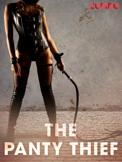 Cover The Panty Thief (eBook, ePUB)