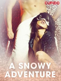 Cover A Snowy Adventure (eBook, ePUB)