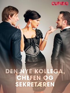 Den nye kollega, chefen og sekretæren (eBook, ePUB) - Cupido