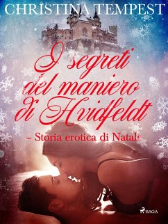 Cover I segreti del maniero di Hvidfeldt - Storia erotica di Natale (eBook, ePUB)