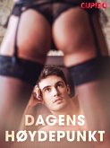 Dagens høydepunkt (eBook, ePUB)