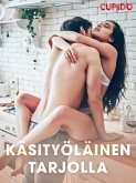 Käsityöläinen tarjolla (eBook, ePUB)