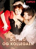 Du, jeg og kollegaen (eBook, ePUB)