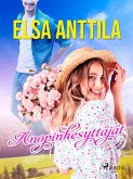 Anopinkesyttäjät (eBook, ePUB)