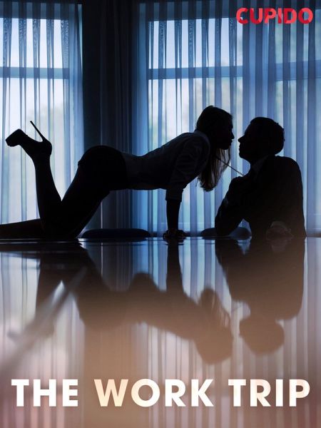 The work trip (eBook, ePUB)