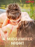 A Midsummer Night (eBook, ePUB)