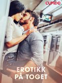 Erotikk på toget (eBook, ePUB)