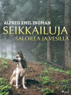 Cover Seikkailuja saloilla ja vesillä (eBook, ePUB)