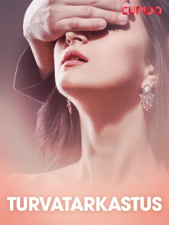 Cover Turvatarkastus (eBook, ePUB)