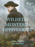 Wilhelm Meisterin oppivuodet (eBook, ePUB)