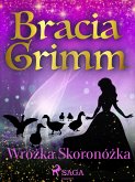 Wróżka Skoronóżka (eBook, ePUB)