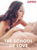 The School of Love (eBook, ePUB) The School of Love (eBook, ePUB)
