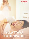 Yllättävä kotiinpaluu (eBook, ePUB)