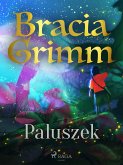 Paluszek (eBook, ePUB)