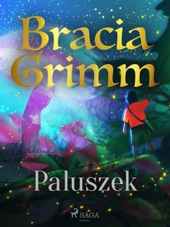 Cover Paluszek (eBook, ePUB)