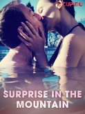 Surprise in the Mountain (eBook, ePUB) Surprise in the Mountain (eBook, ePUB)