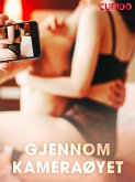 Gjennom kameraøyet (eBook, ePUB)