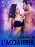Luoghi proibiti: l'acciaieria - Breve racconto erotico (eBook, ePUB)