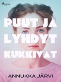 Puut ja lyhdyt kukkivat (eBook, ePUB)