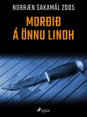 Morðið á Önnu Lindh (eBook, ePUB)