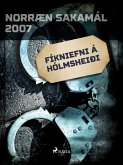 Fíkniefni á Hólmsheiði (eBook, ePUB)
