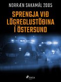 Sprengja við lögreglustöðina í Östersund (eBook, ePUB)