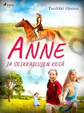 Anne ja seikkailujen kesä (eBook, ePUB)