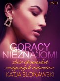 Gorący nieznajomi - zbiór opowiadań erotycznych autorstwa Katji Slonawski (eBook, ePUB)