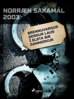 Cover Brennuvargur gengur laus í elsta bæ Danmerkur (eBook, ePUB)