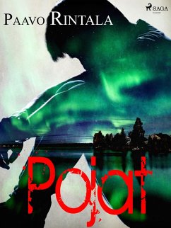 Cover Pojat (eBook, ePUB)