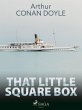 That Little Square Box (eBook, ePUB) - Bild 1